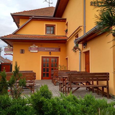 Penzion Bouquet Horni Vestonice Exterior photo